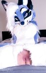 Fursuit Butts #1