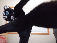 Fursuit Butts #1