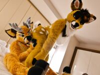Fursuit Butts #1