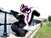Fursuit Butts #1