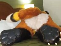 Fursuit Butts #1