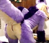 Fursuit Butts #1