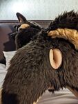 Fursuit Butts #2