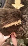 Fursuit Butts #2