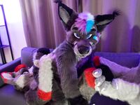 Fursuit Facesitting