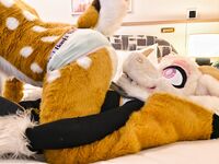 Fursuit Facesitting