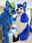 Fursuit Facesitting 2