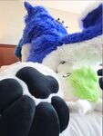 Fursuit Facesitting 2