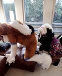 Fursuit Facesitting 2