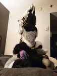 Fursuit Facesitting 2
