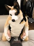 Fursuit Facesitting 2