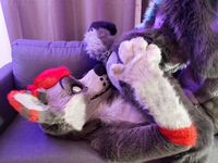 Fursuit Facesitting 2