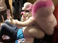 Fursuit Facesitting 2