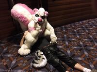 Fursuit Facesitting 2