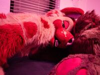 Fursuit Facesitting 2