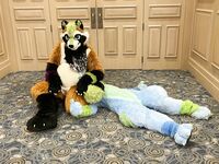 Fursuit Facesitting 2