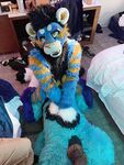 Fursuit Facesitting 2