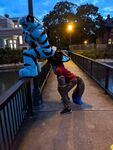 Fursuit Facesitting 2