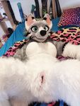 Mixed Murrs
