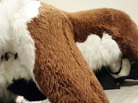 Mixed Murrs v2