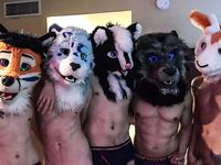 Mixed Murrs v2